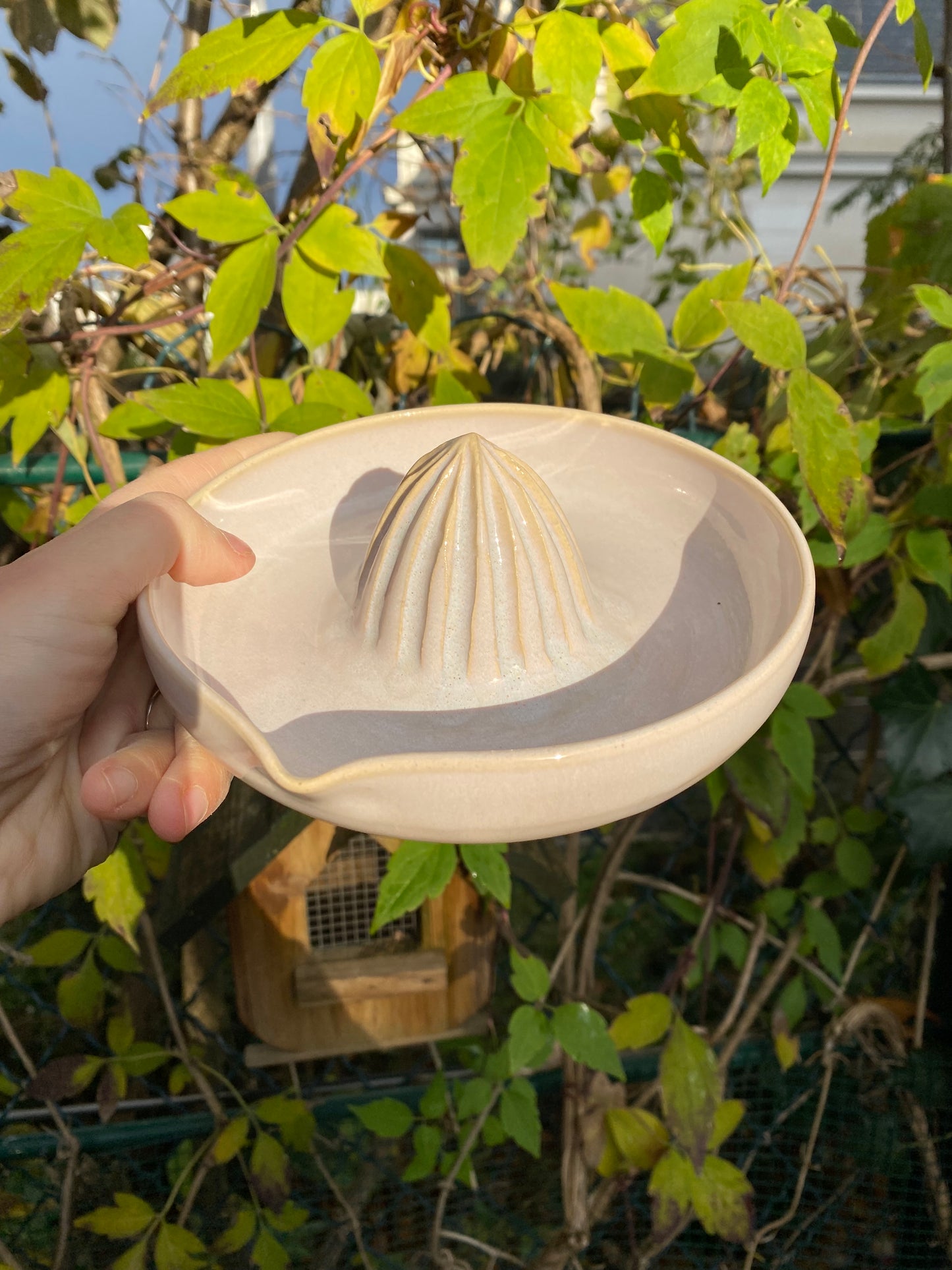 PRESSE-AGRUMES rose sable